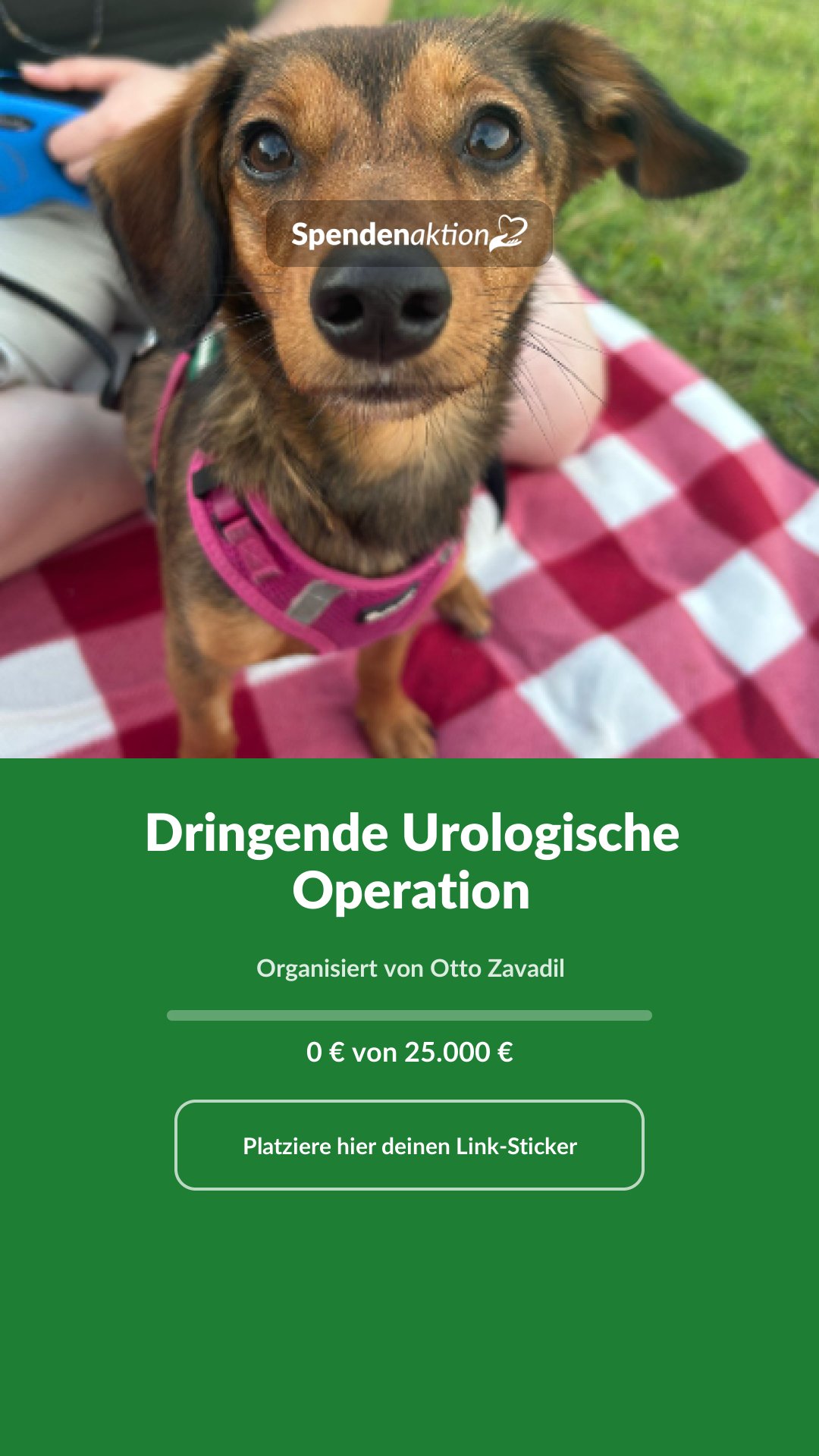 Vorschau des Bildes