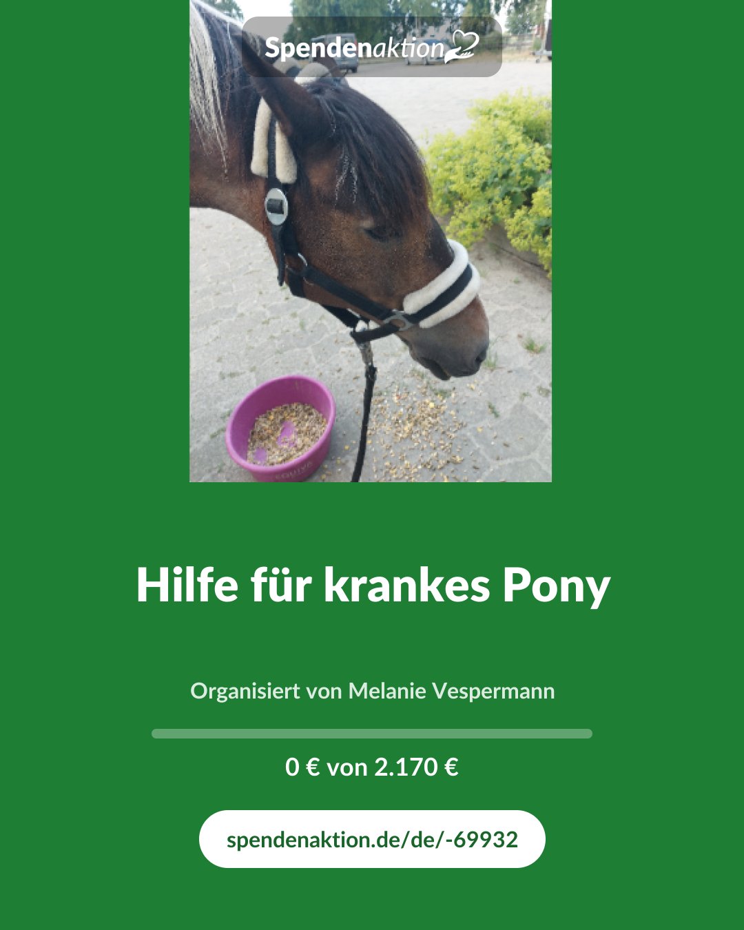 Vorschau des Bildes