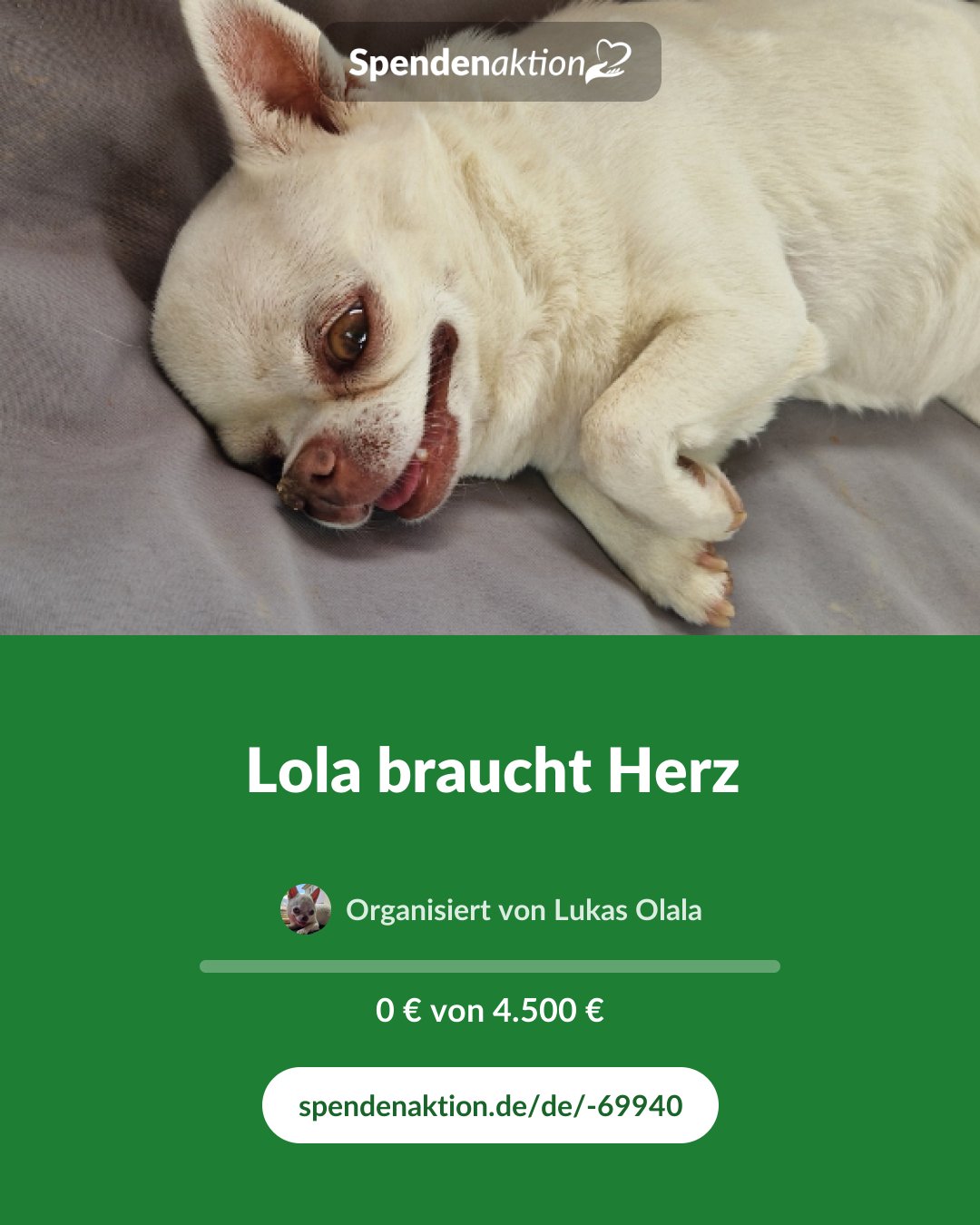 Vorschau des Bildes