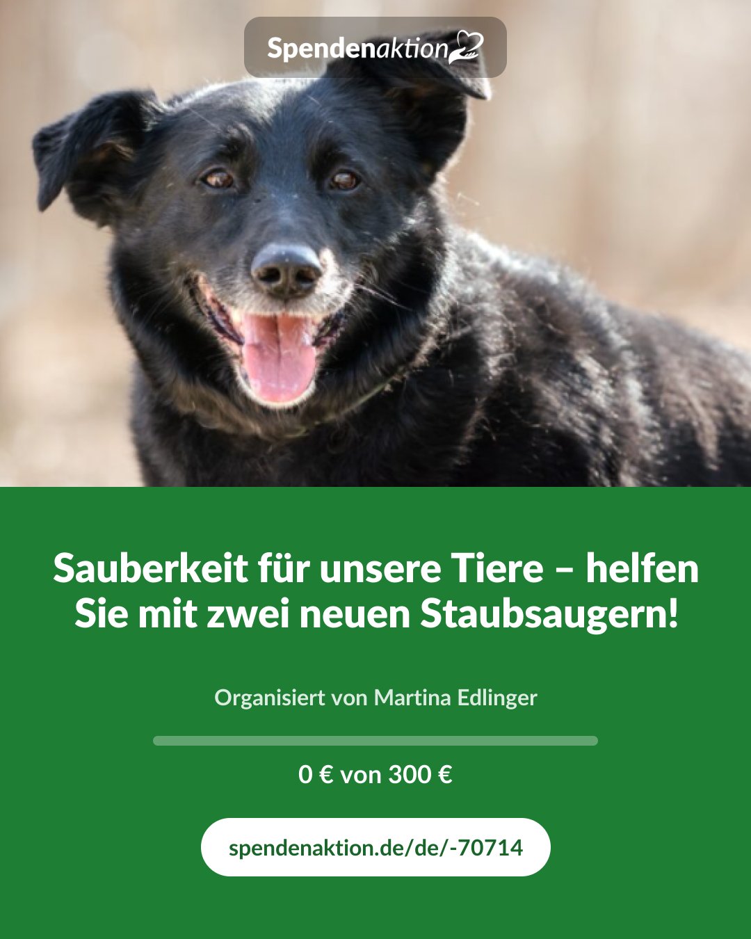 Vorschau des Bildes