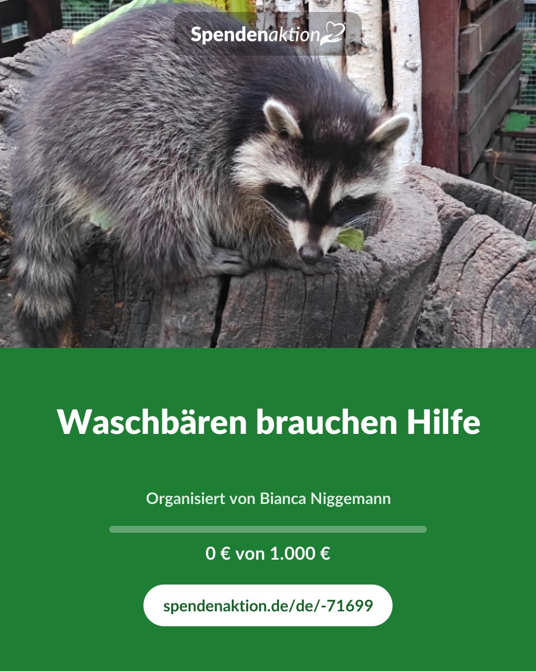 Vorschau des Bildes