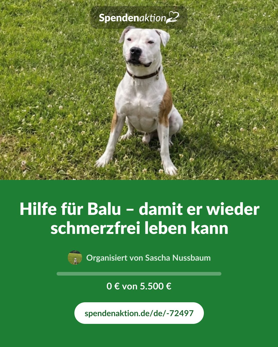 Vorschau des Bildes