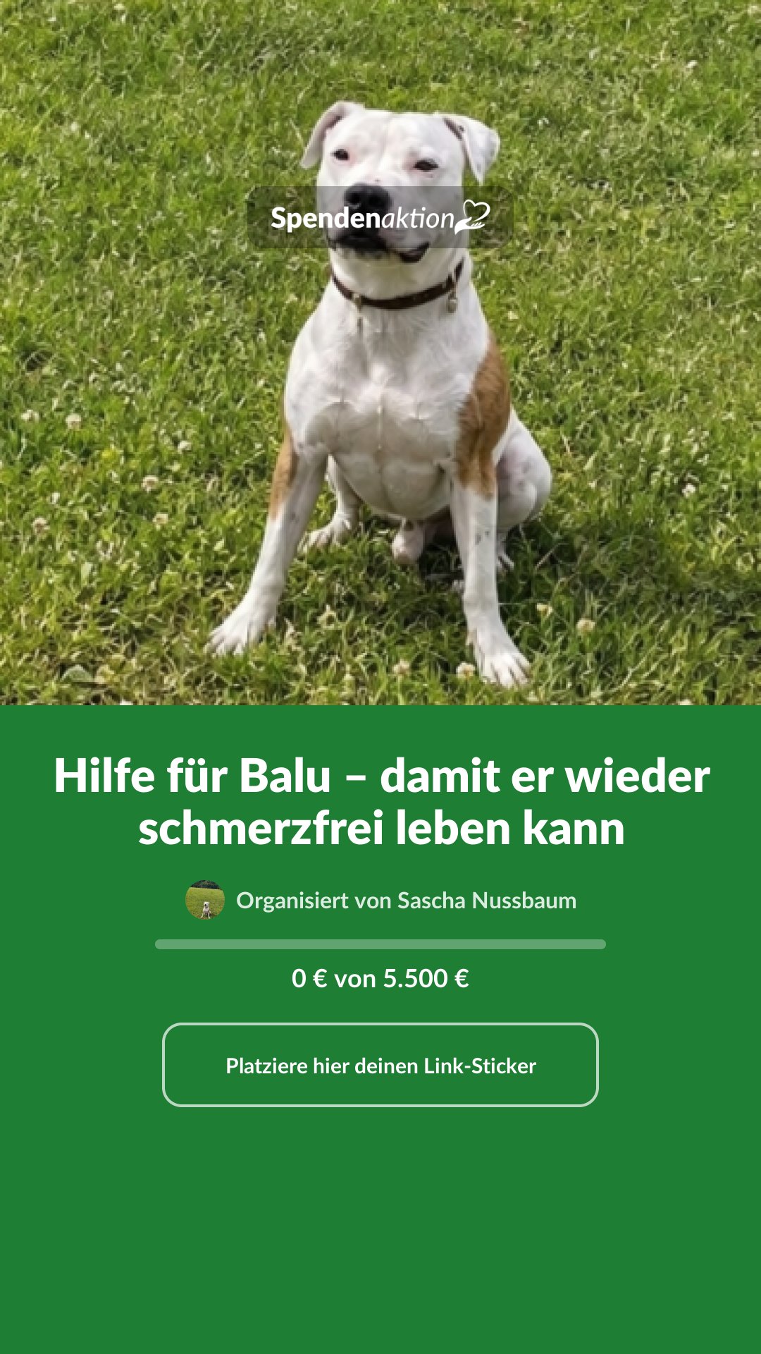 Vorschau des Bildes