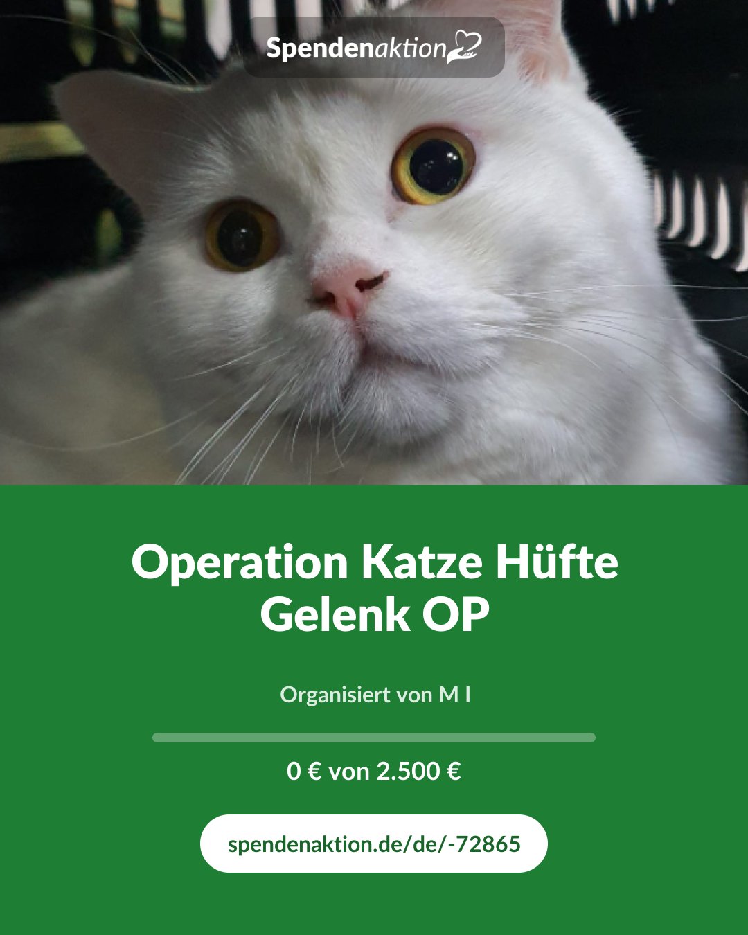 Vorschau des Bildes