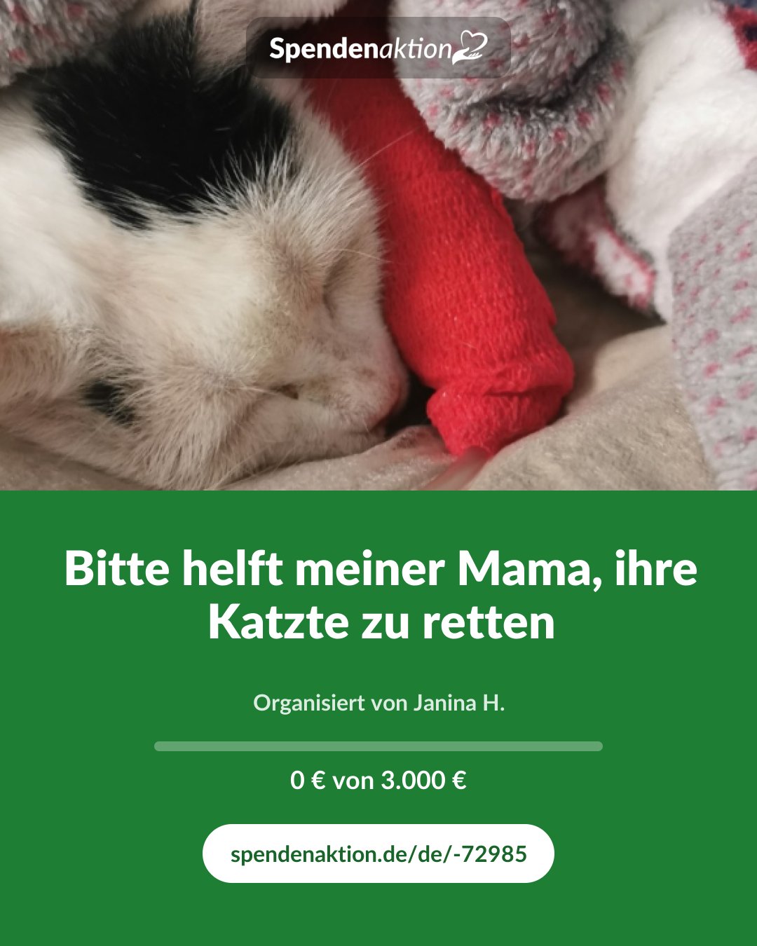 Vorschau des Bildes