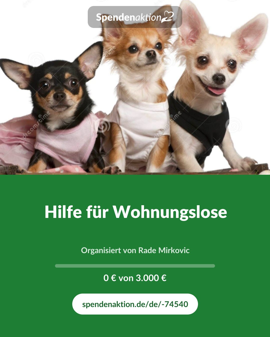 Vorschau des Bildes