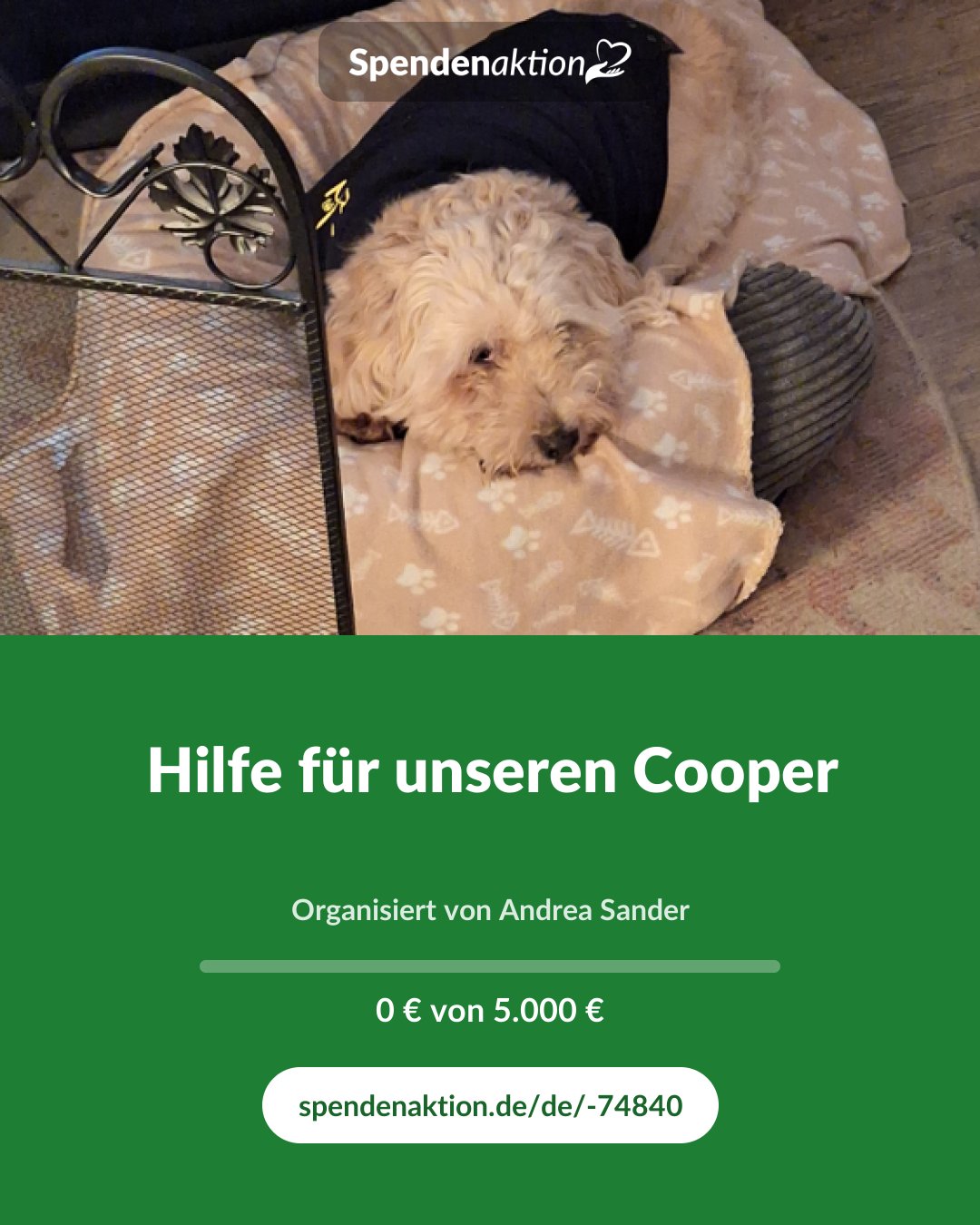 Vorschau des Bildes