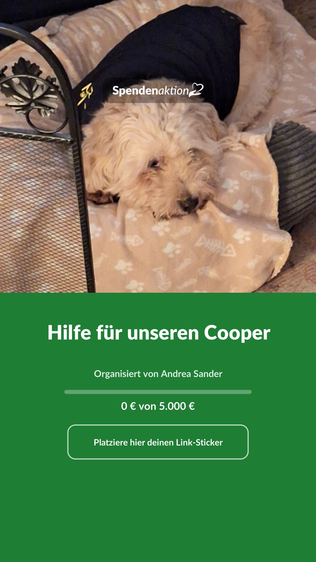 Vorschau des Bildes