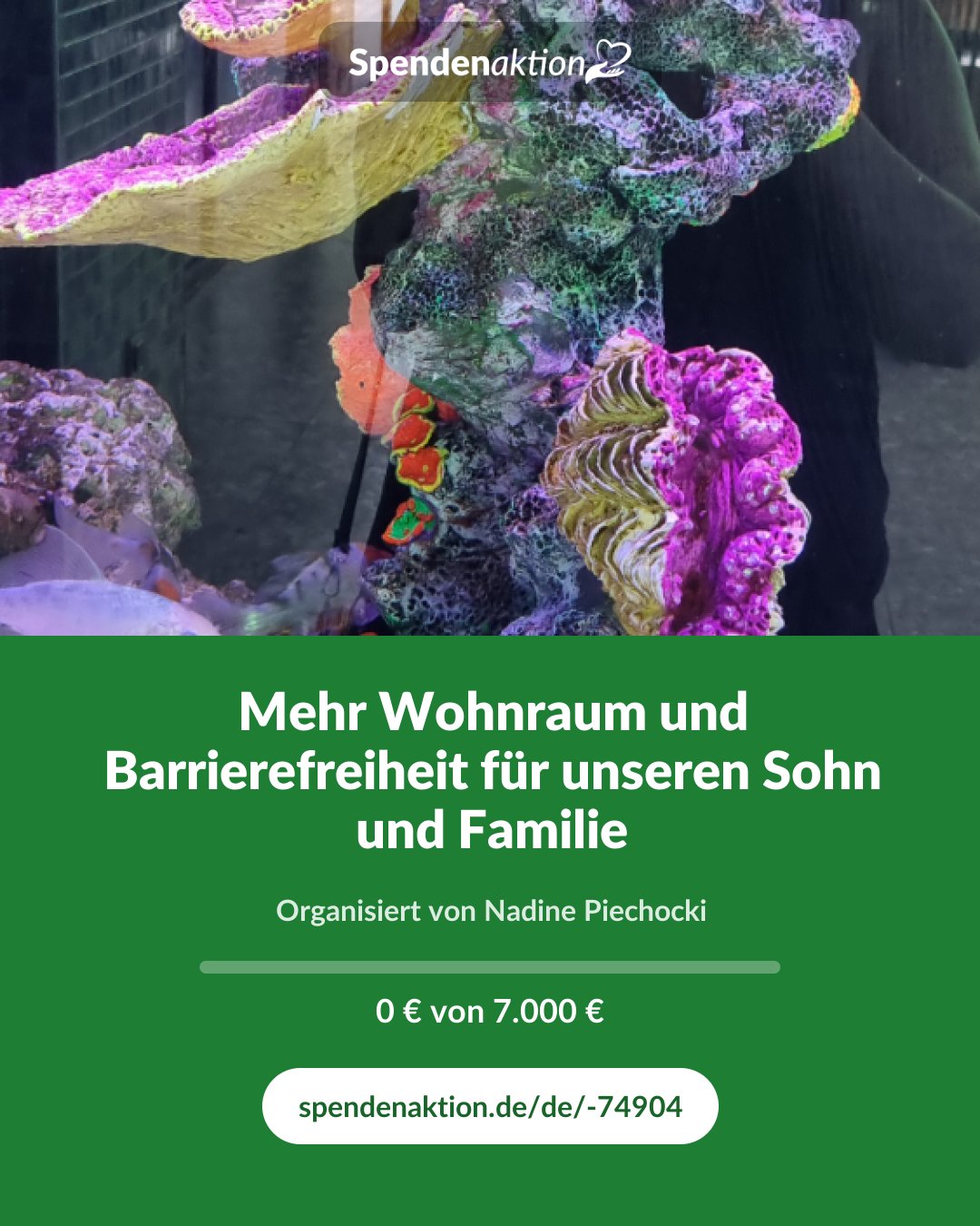 Vorschau des Bildes