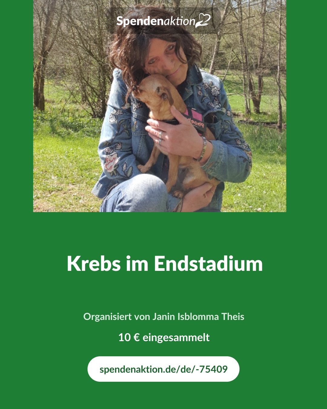 Vorschau des Bildes