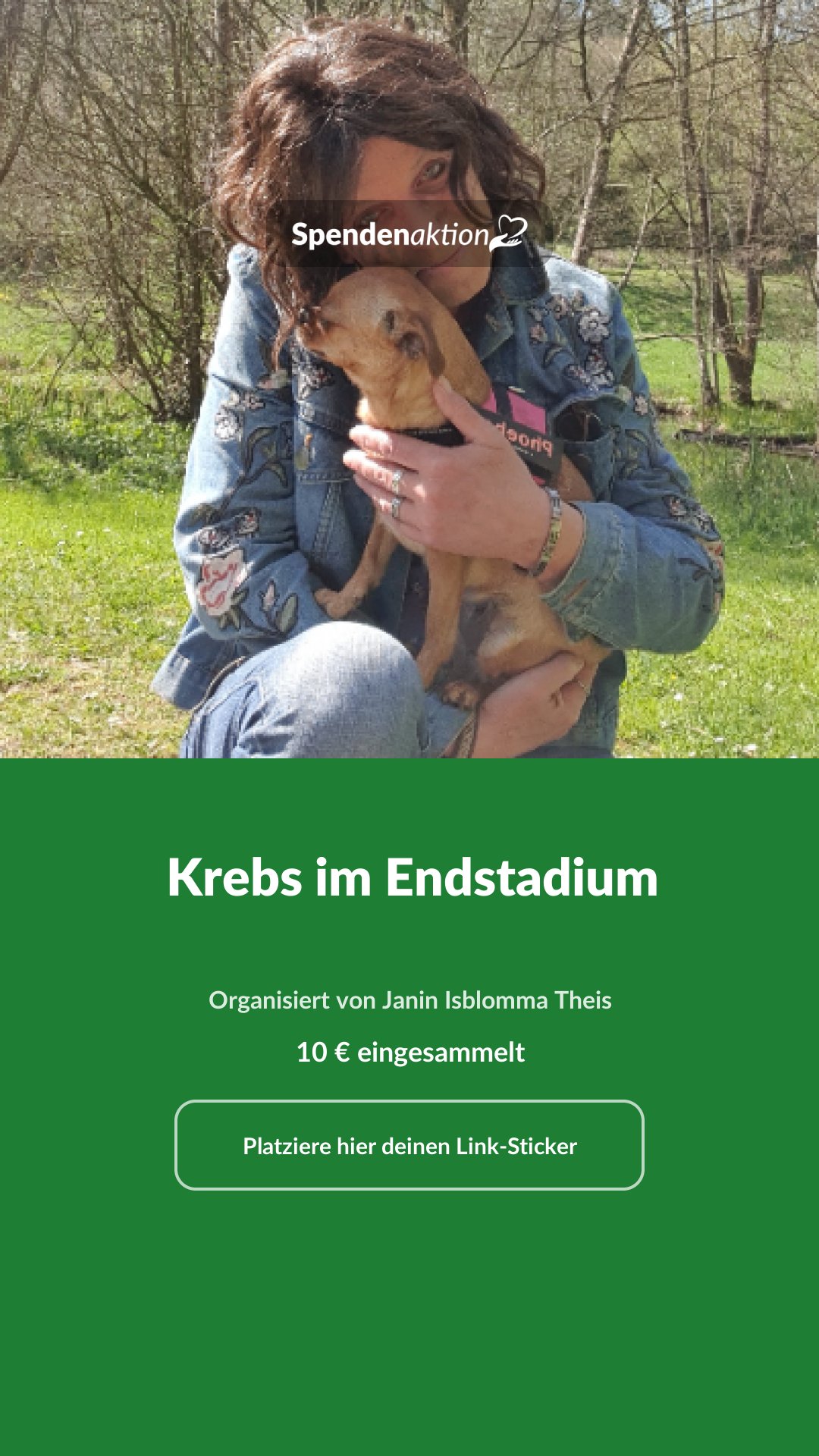 Vorschau des Bildes