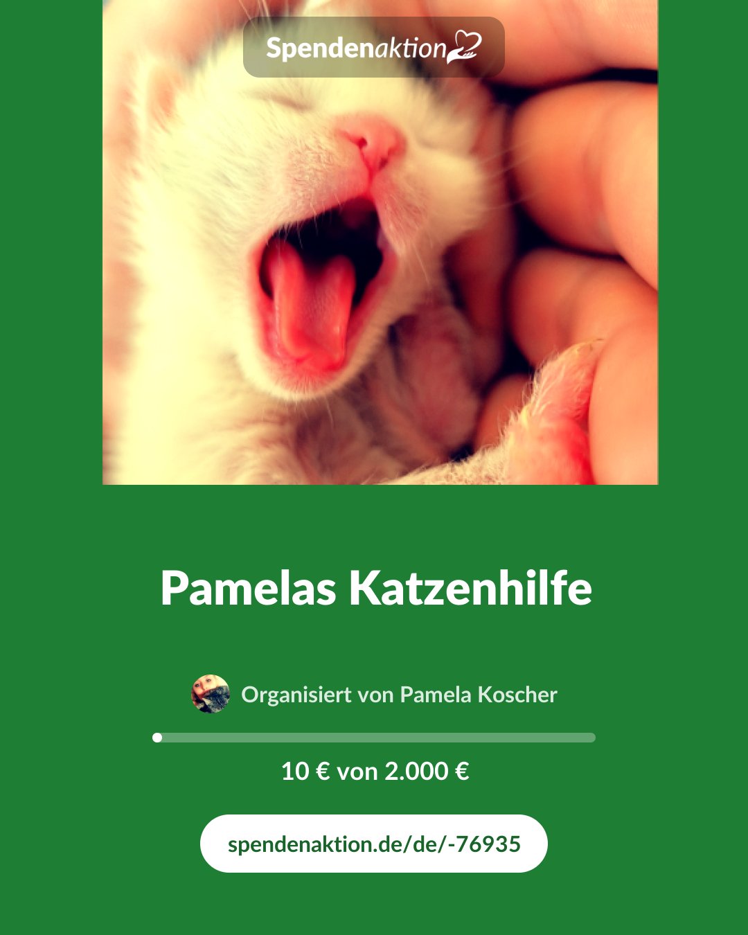 Vorschau des Bildes