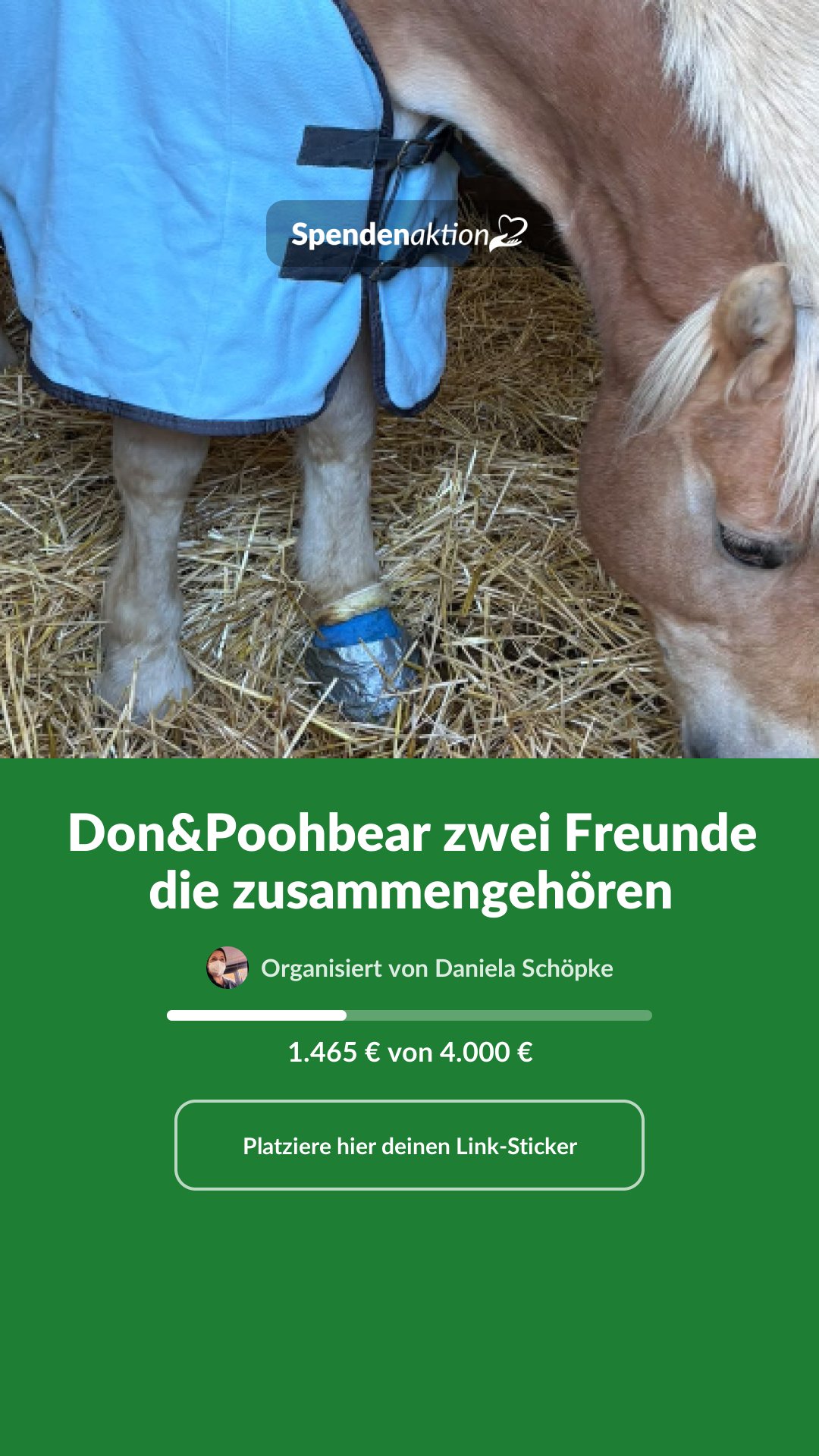 Vorschau des Bildes