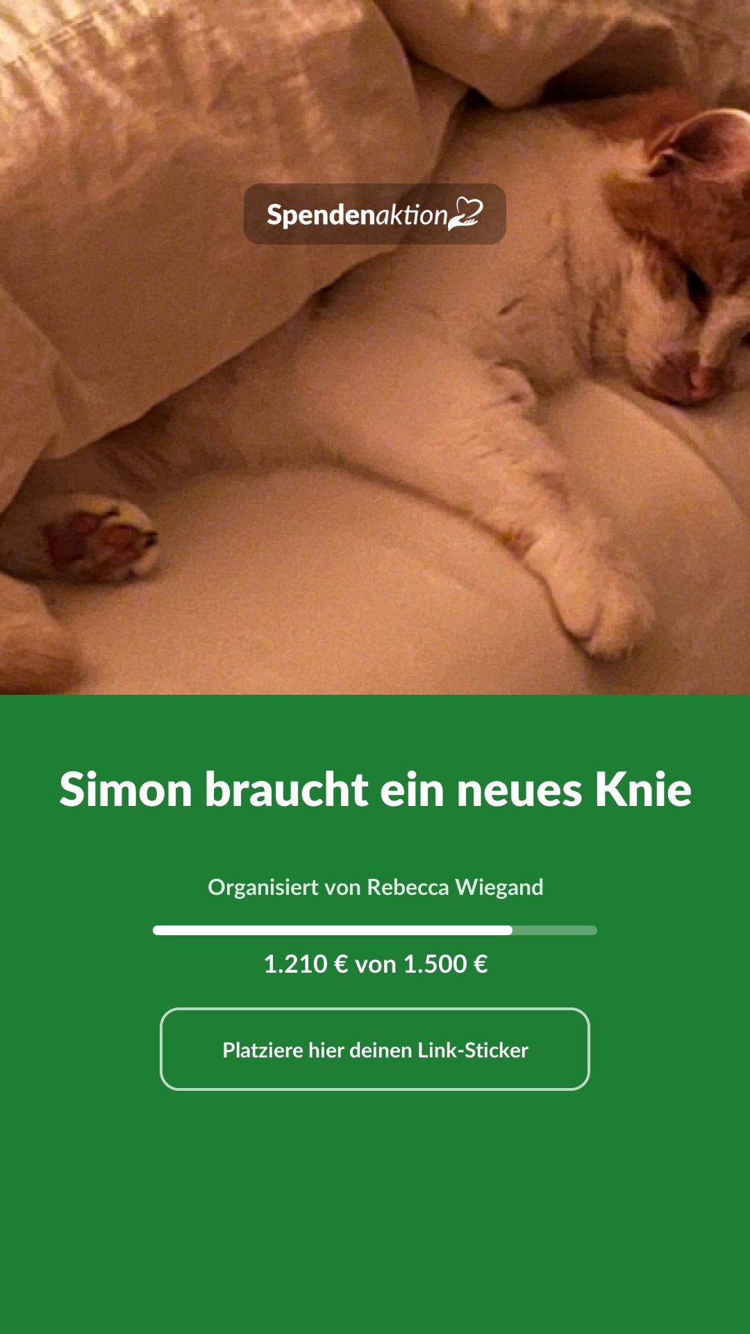 Vorschau des Bildes