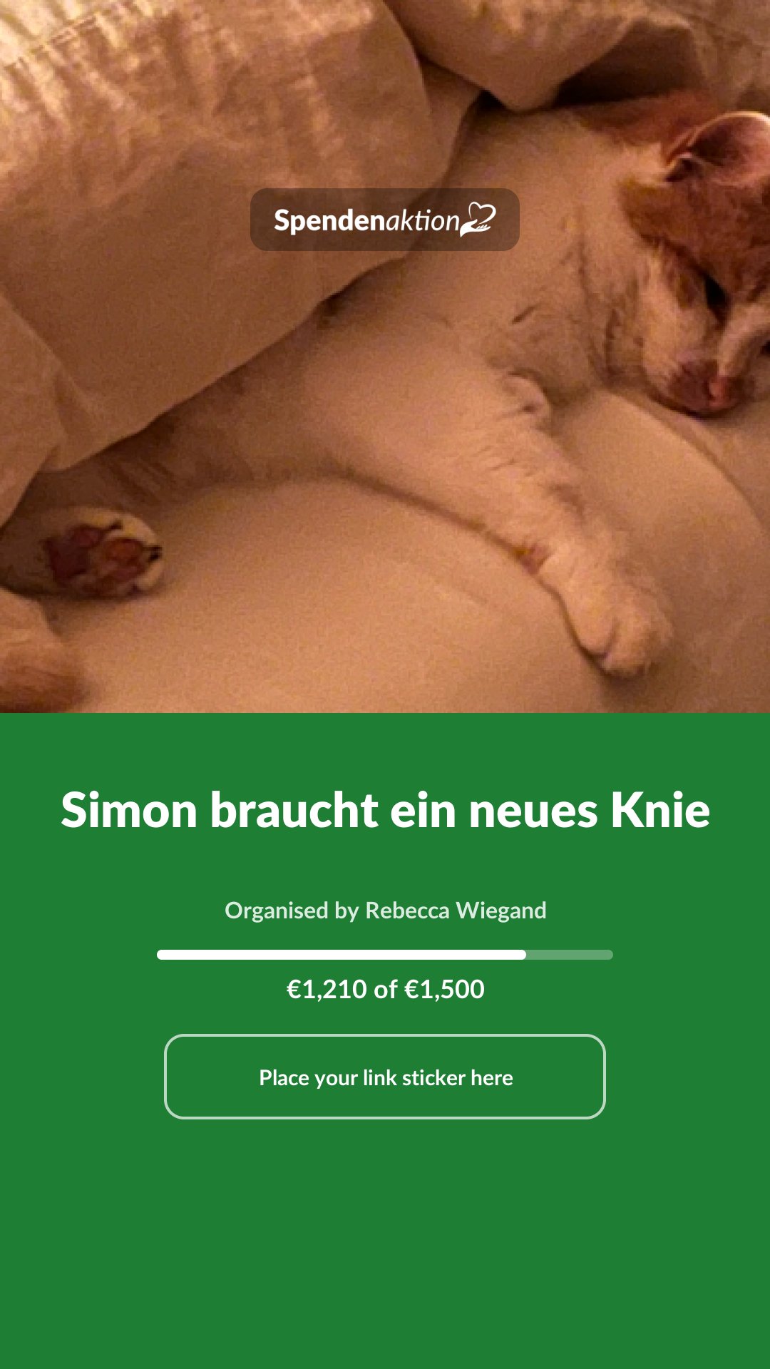Preview of the image