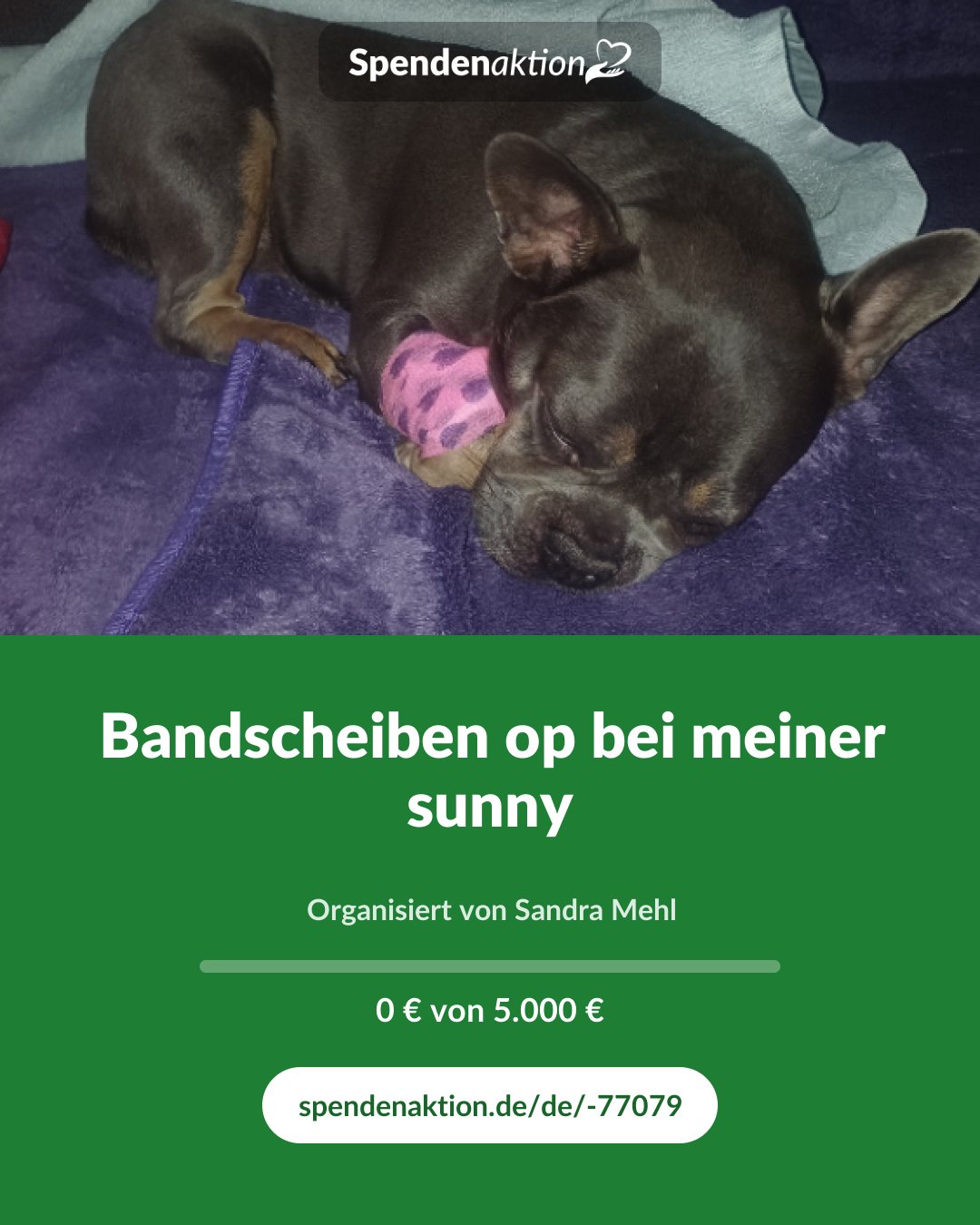 Vorschau des Bildes