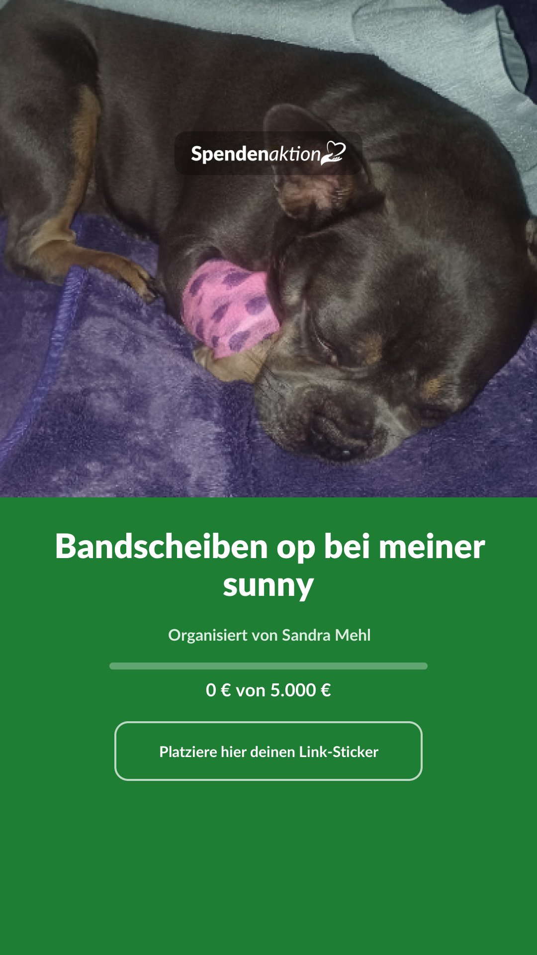 Vorschau des Bildes