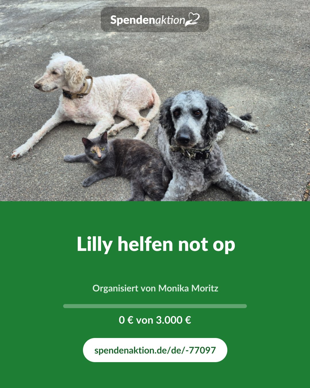 Vorschau des Bildes