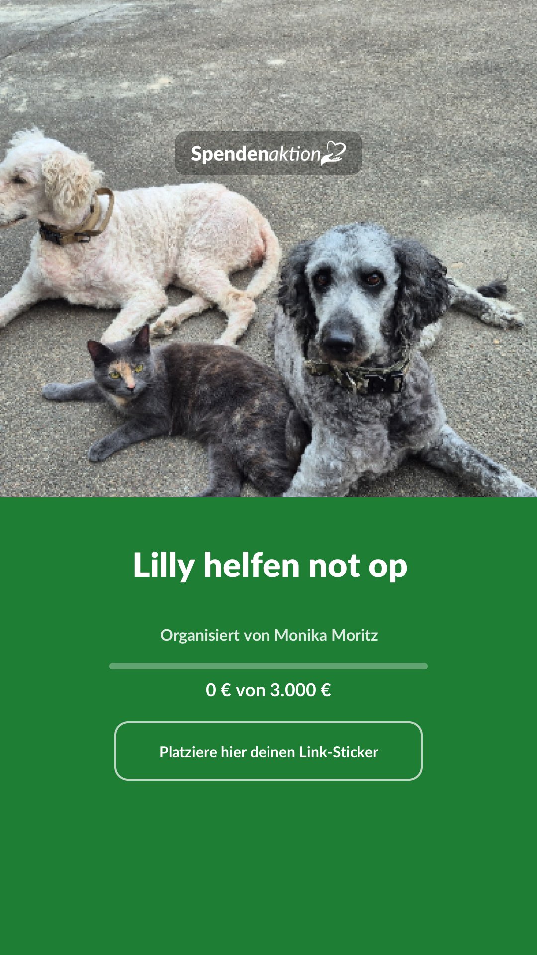 Vorschau des Bildes
