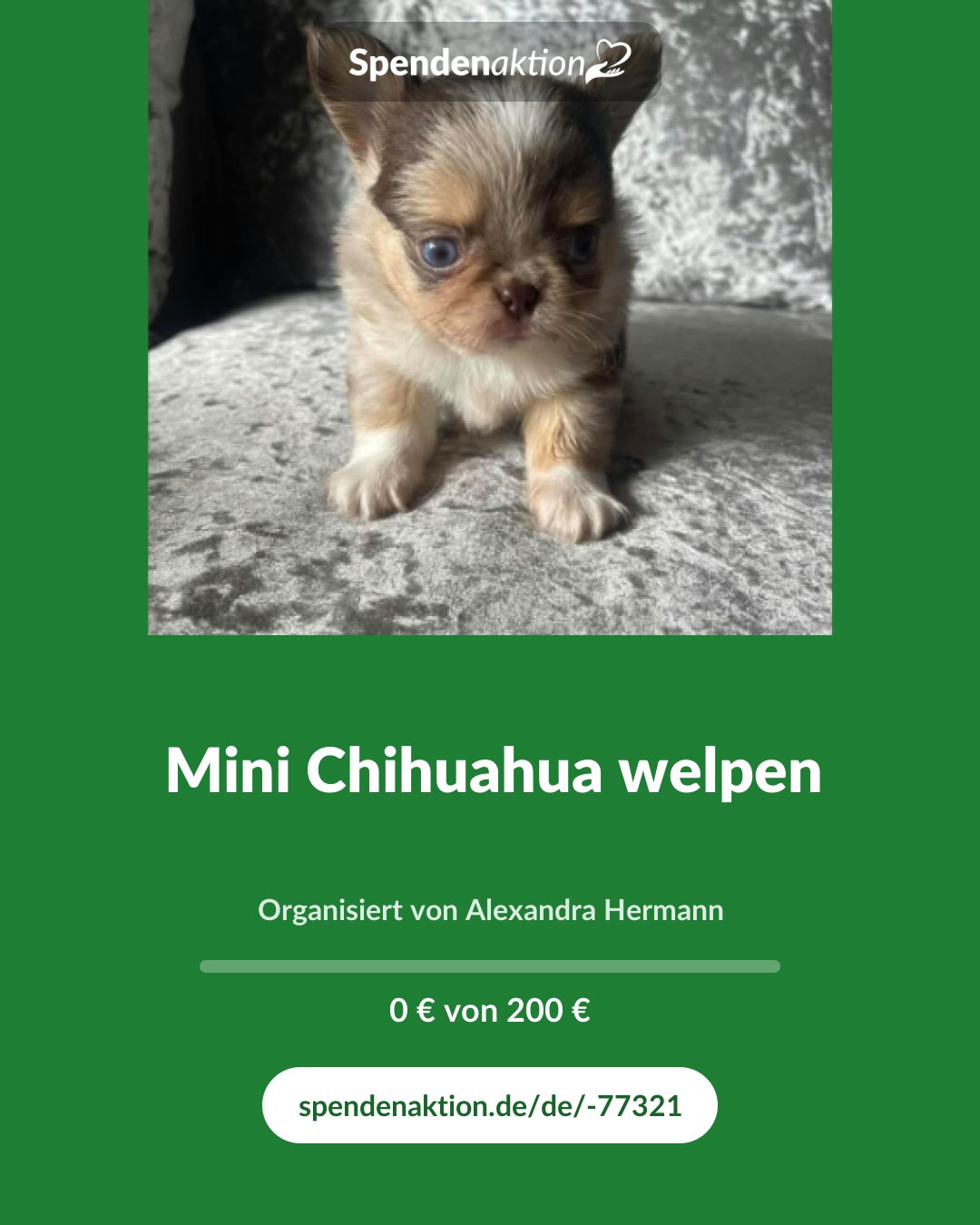 Vorschau des Bildes