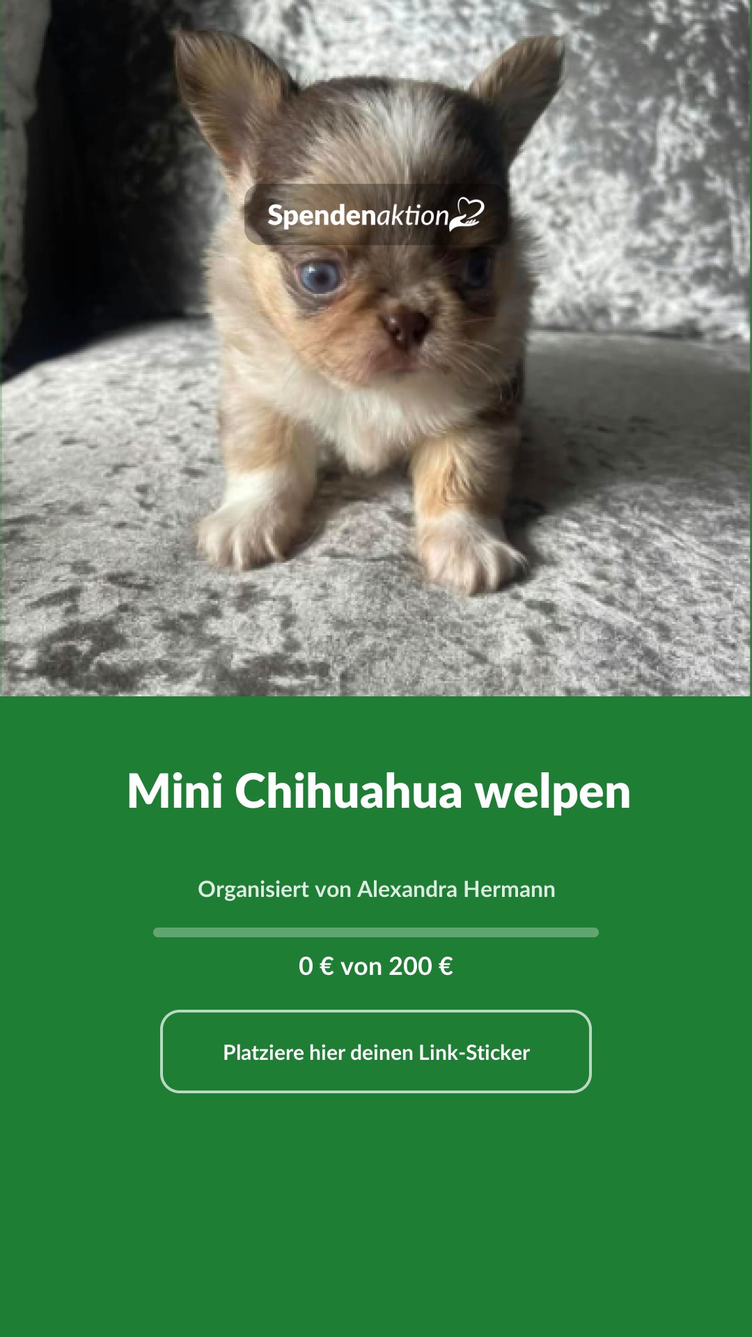 Vorschau des Bildes