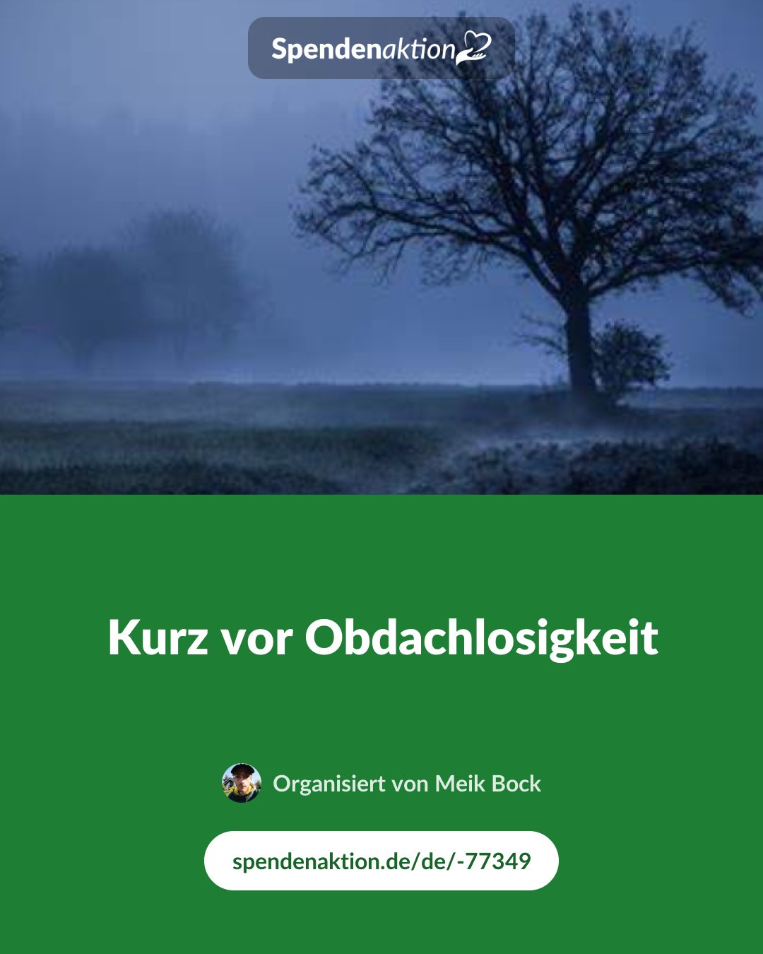 Vorschau des Bildes
