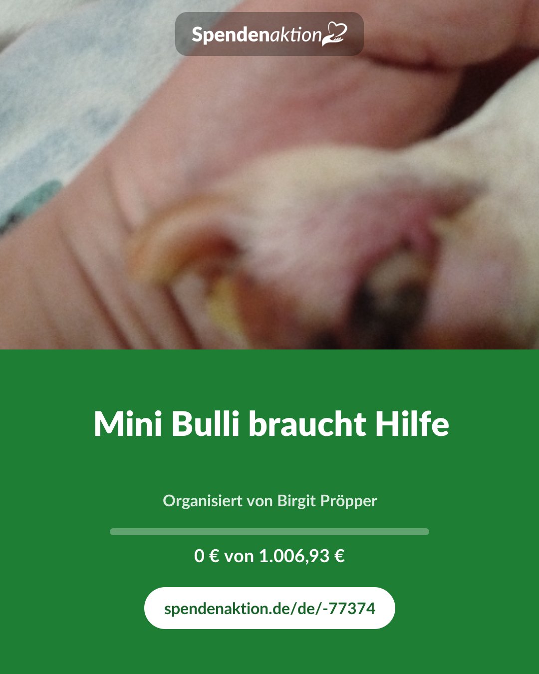 Vorschau des Bildes