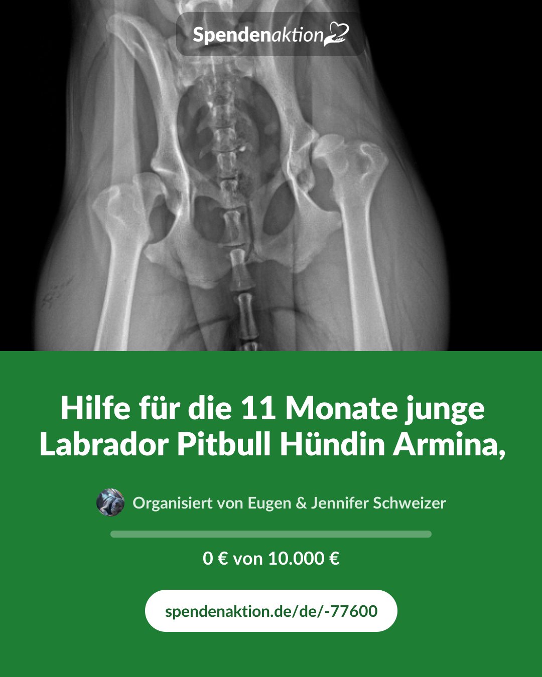 Vorschau des Bildes