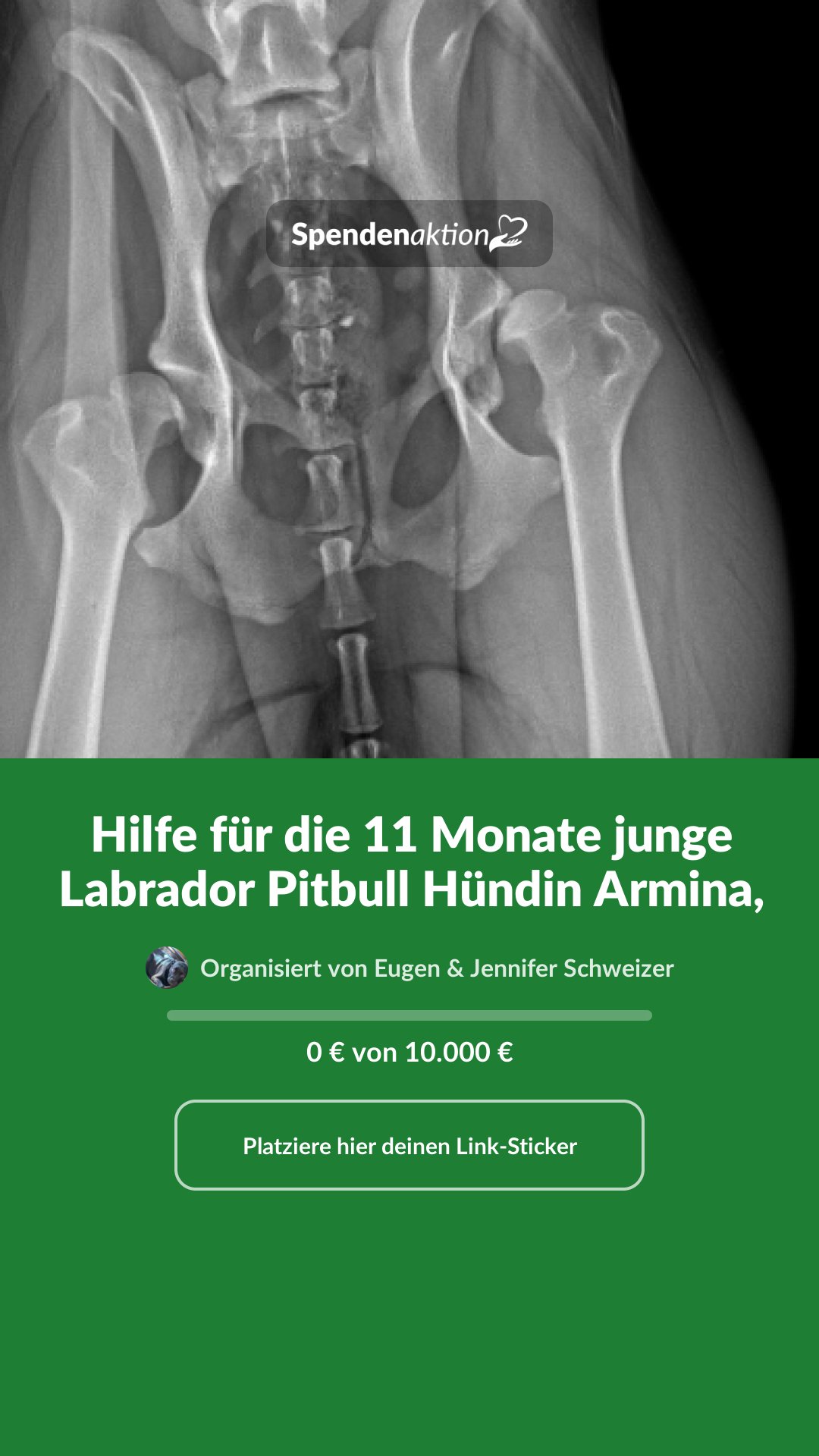 Vorschau des Bildes
