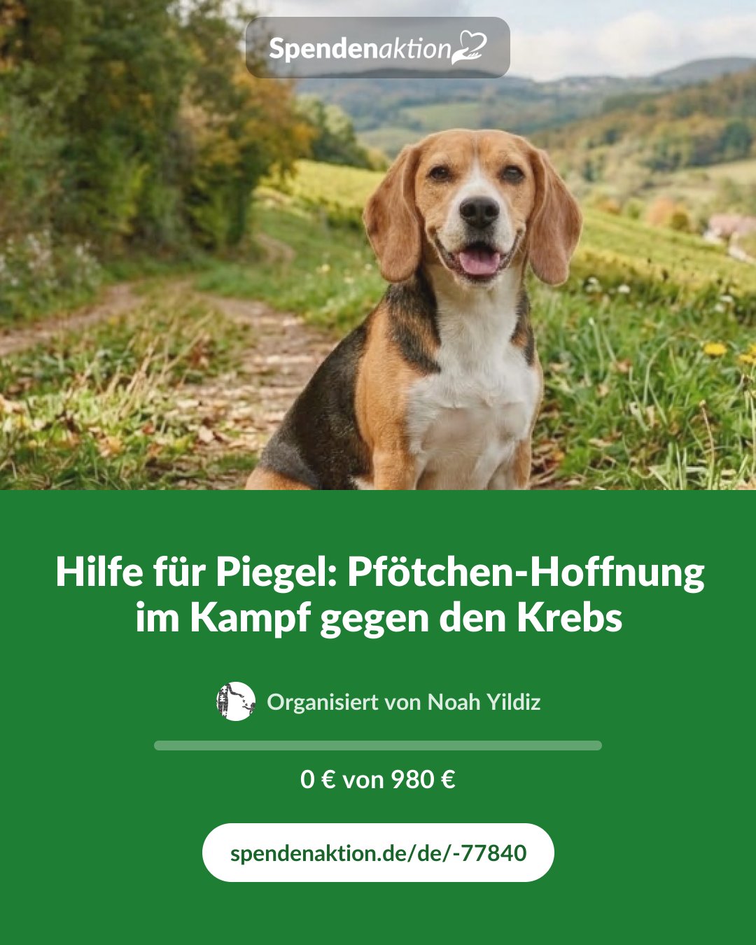 Vorschau des Bildes