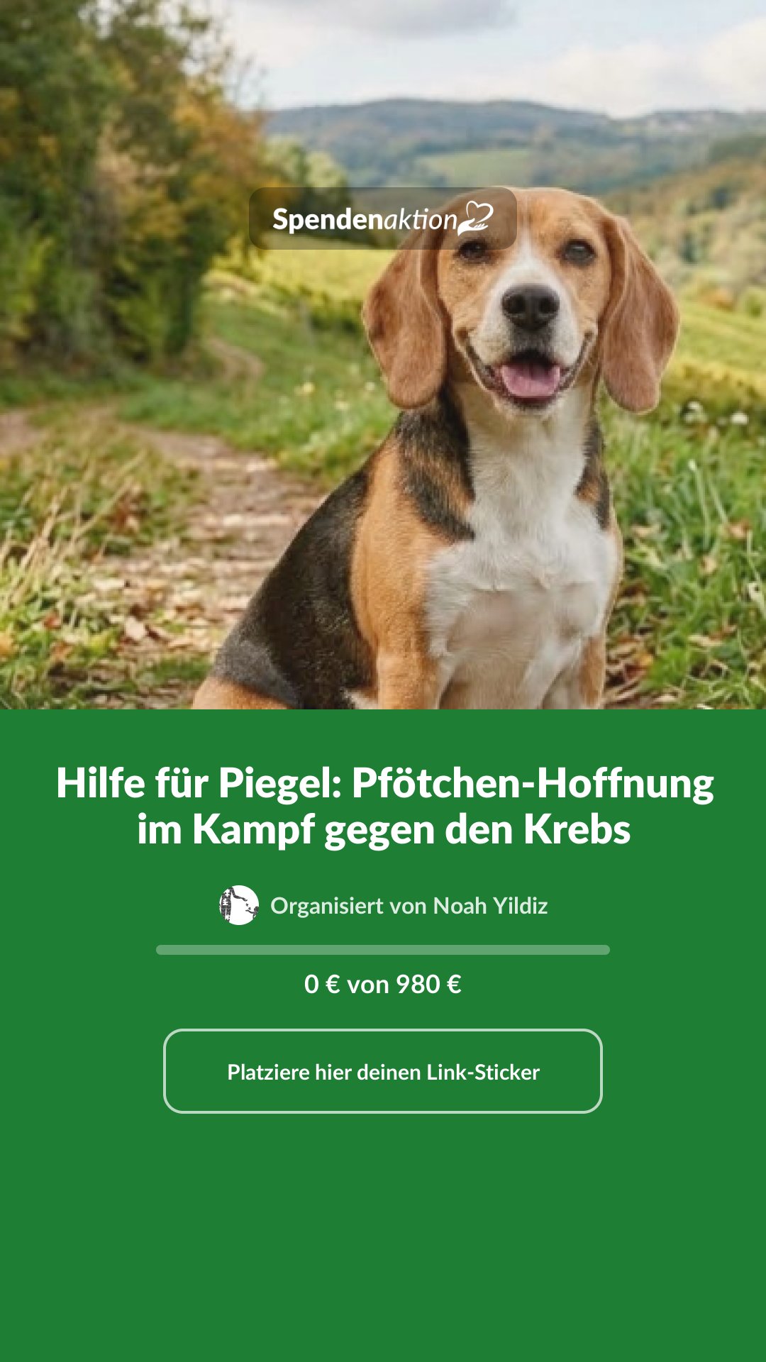 Vorschau des Bildes