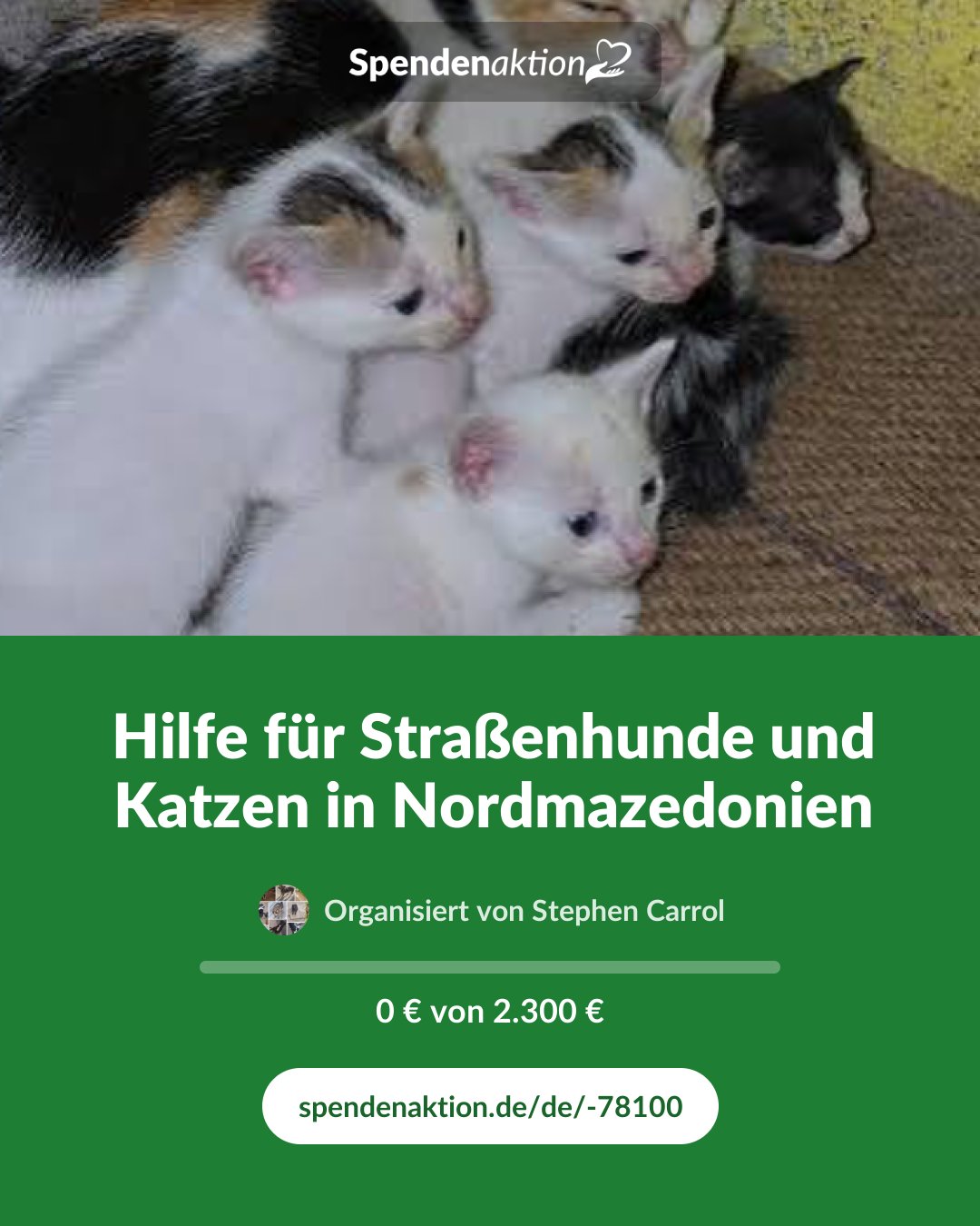 Vorschau des Bildes