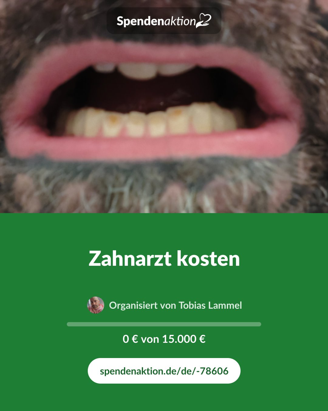 Vorschau des Bildes
