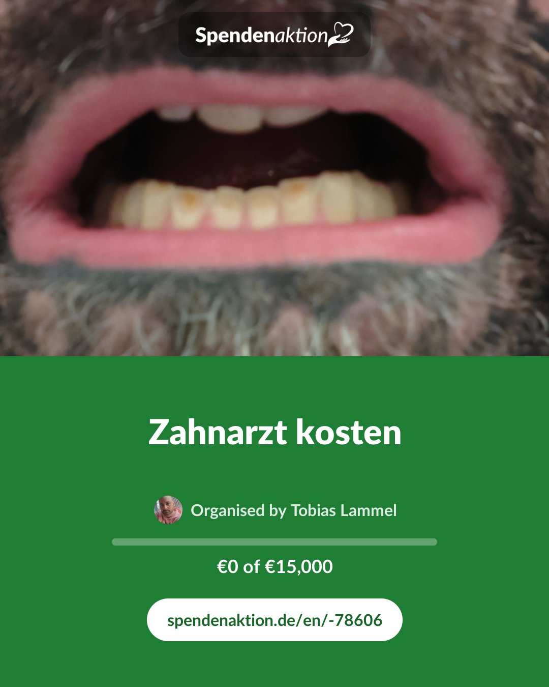Preview of the image