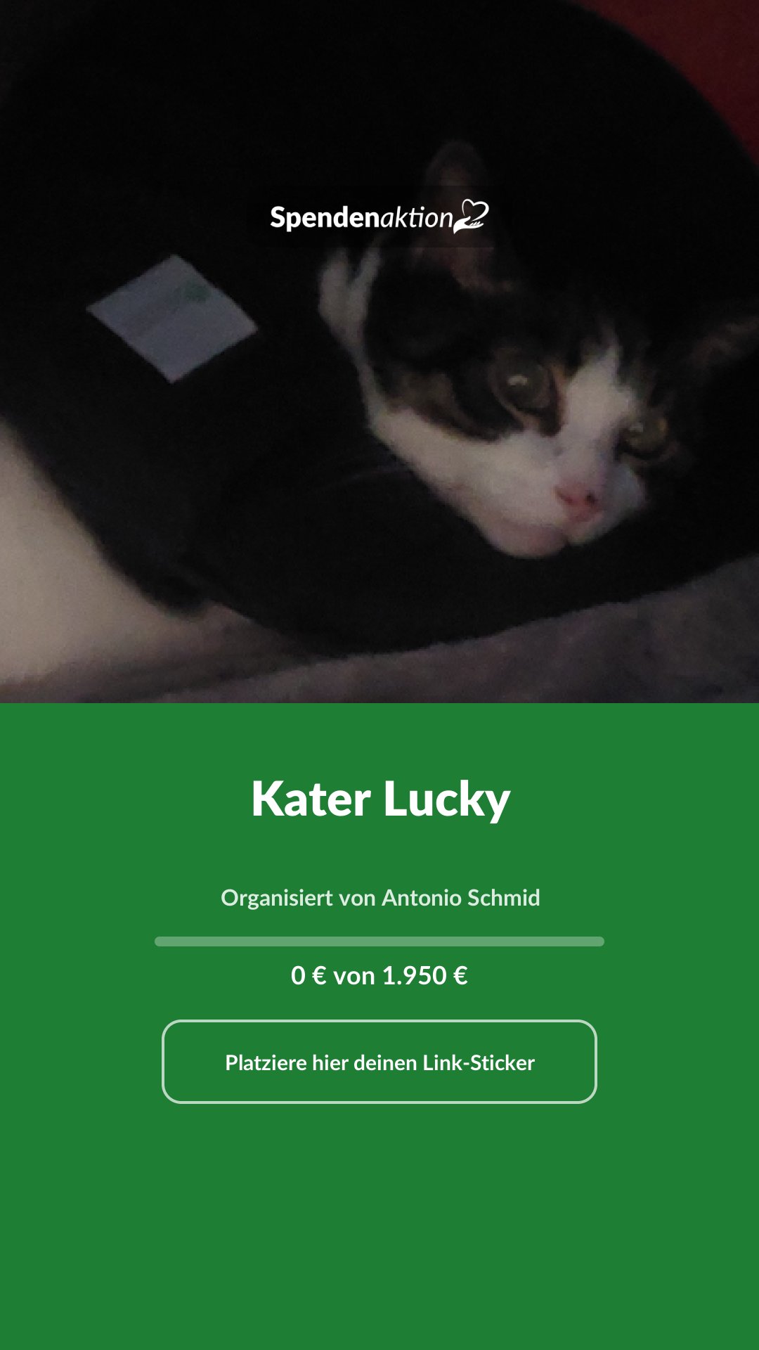 Vorschau des Bildes