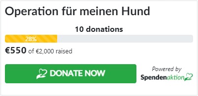 Spendenaktion Donation button Medium