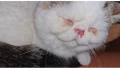 screenshot 20230107 112600 gallery