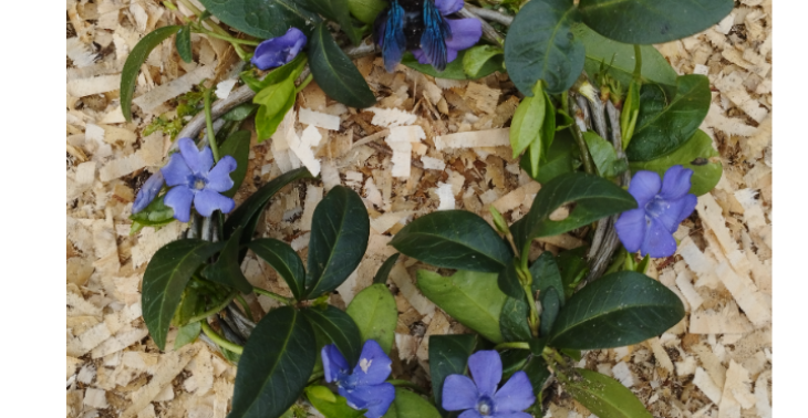 Leben mit der Natur 