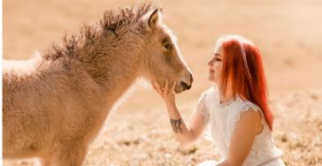Therapiehof Weiherwiese – Ein sicherer Ort für Tiere und Menschen