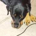 img 20230827 161234