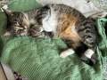 img 20240124 wa0011