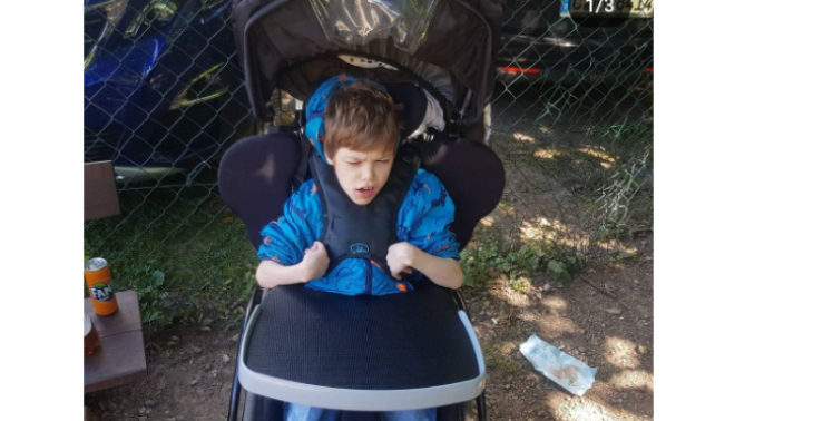 Finley möchte zu den Delfinen