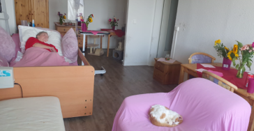 Rückholung aus dem Pflegeheim Anwaltskosten