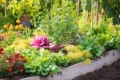 kräutergarten