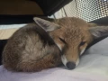 img 20250530 wa0008