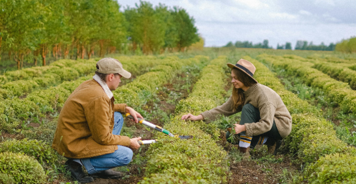 "Farm Life statt Fast Life" – Ein Aussteigertraum in Portugal