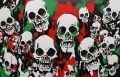 the palestine skull