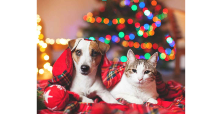 Weihnachtswünsche