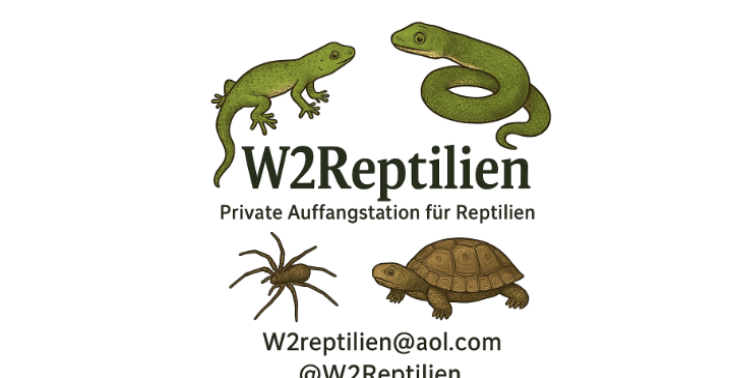 🐍 Werde Teil von W2Reptilien – Jede Spende zählt!
