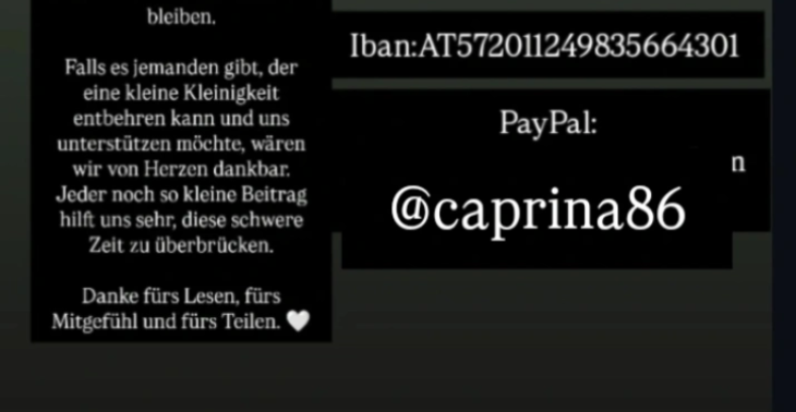 Futter spenden Geld spenden in Not
